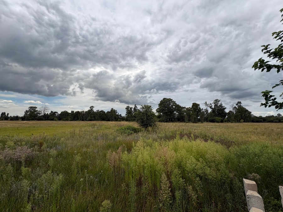 0 Bedroom Property for Sale in Vaalpark Free State